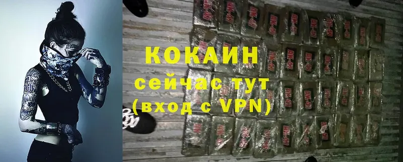 COCAIN Fish Scale  это какой сайт  Нарткала 